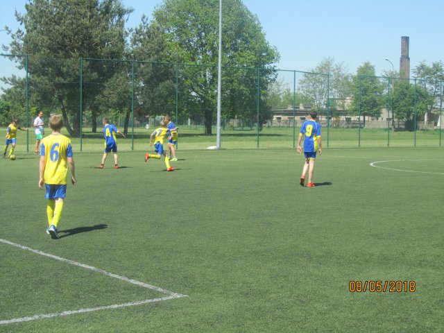 pino 5